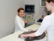 Herzsonographie im Ultraschallraum Herzsonographie im Ultraschallraum
